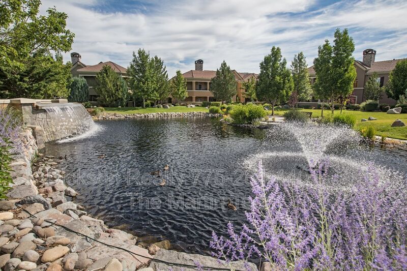 9900 Wilbur May Parkway #2405 property image